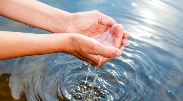 WGP 006: Water is the Elixir of Life