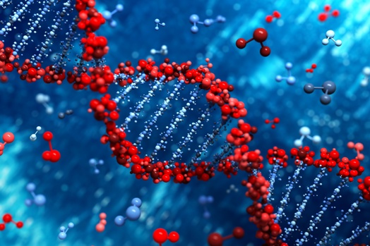 WGP 047: Epigenetics – How Your Environment and Beliefs Control Your Genes